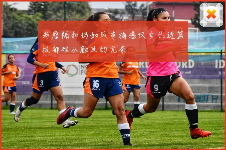 老詹隔扣仍如风夸梅感叹自己连篮板都难以触及的无奈